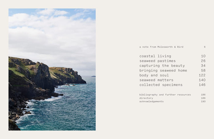 Seaweed