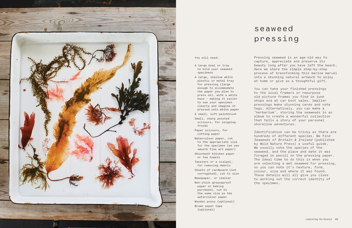 Seaweed