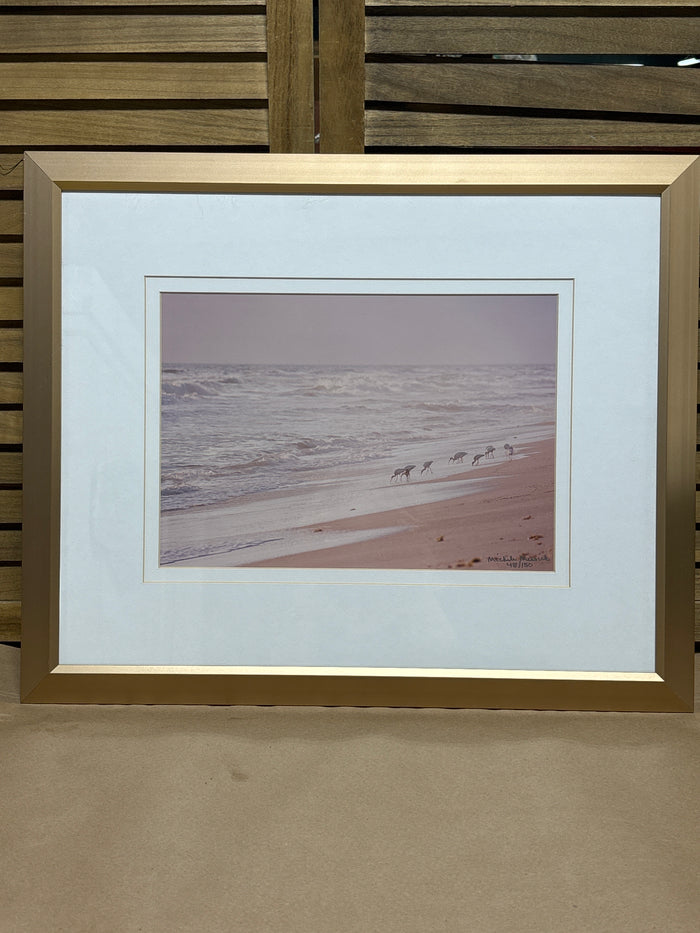Shell Crackers Photo Print by Michele Messick; Signed & Numbered (48/150)