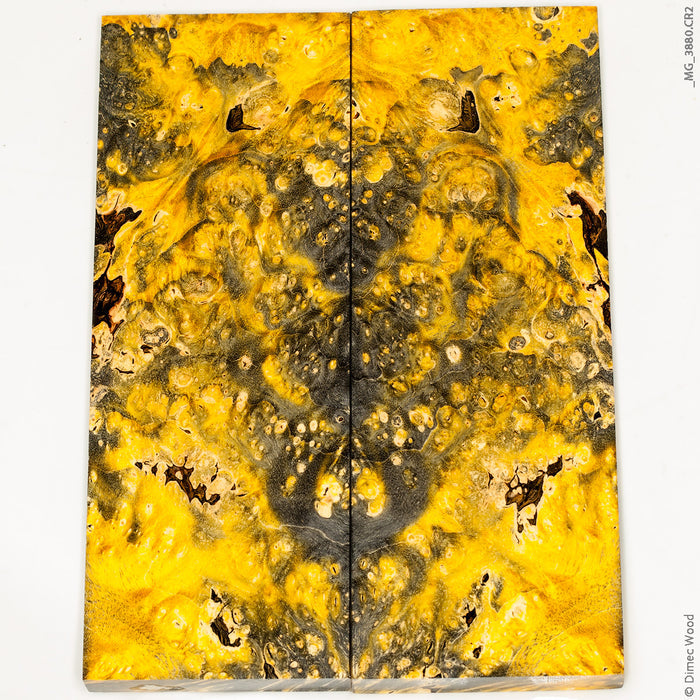 Stabilized box elder burl wood panels