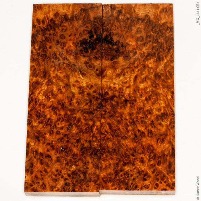 Stabilized golden amboyna burl wood panels