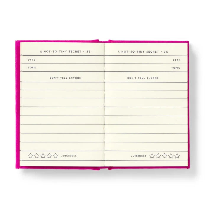 Tiny Diary for Not So Tiny Secrets